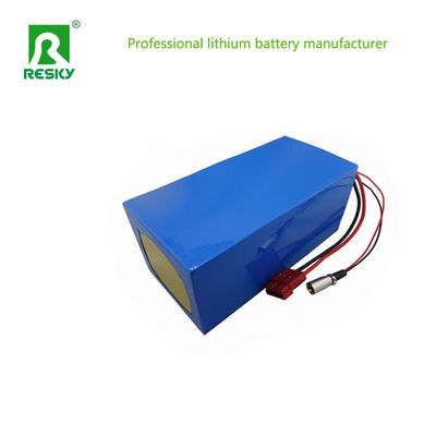 주문 전기차용 48V 20ah 1000W 리?? 배터리 팩 online manufacture